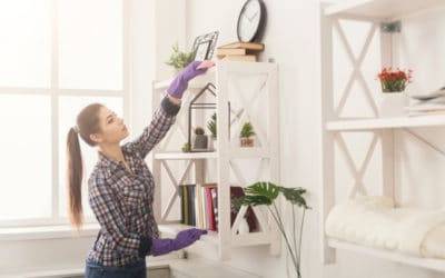 Tips for Decluttering and Cleaning Your Bookshelf