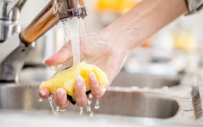 How to clean kitchen sponges and remove germs from them