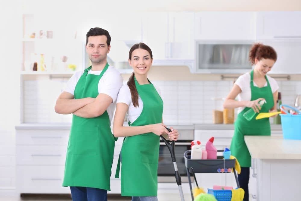 spring cleaning company sydney