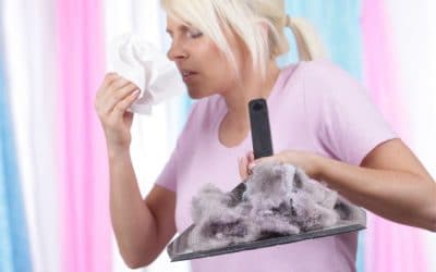 How to remove dust mites from our home