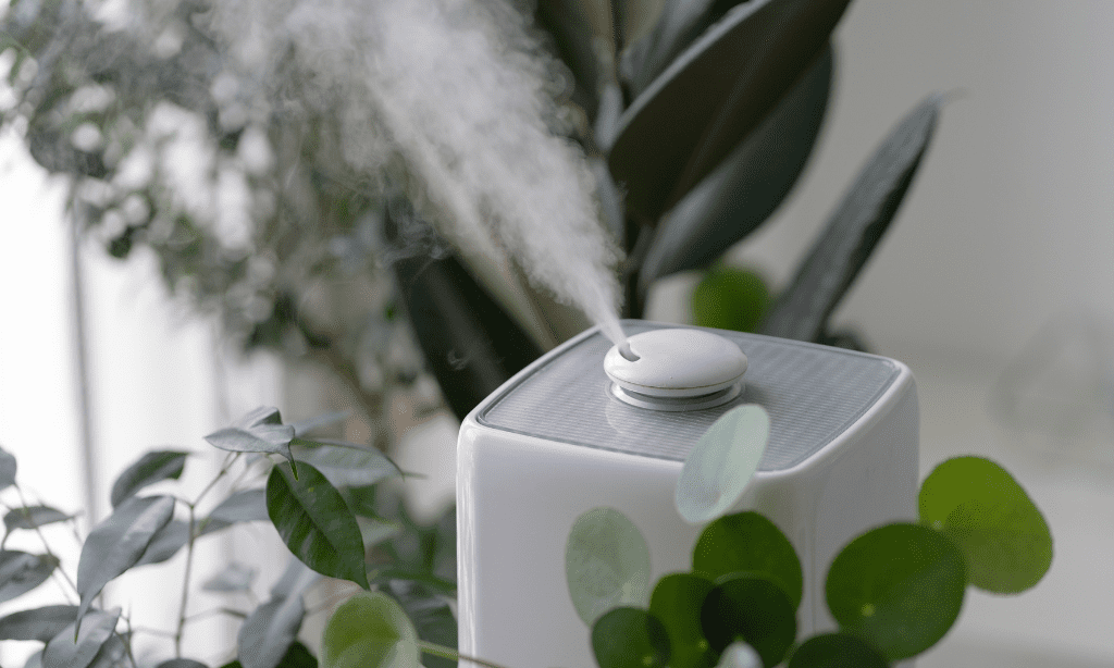 Cleaning tips - How to Maintain Clean Carpets During Allergy Season - Bellos Cleaning - Annapolis MD Using Air Purifier to Reduce Airborne Allergens<br />
-Cleaning tips - How to Maintain Clean Carpets During Allergy Season - Bellos Cleaning - Annapolis MD