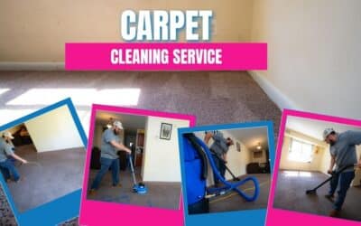 Carpet Cleaning