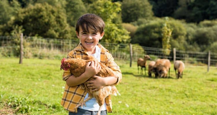 Anne Arundel summer activities3