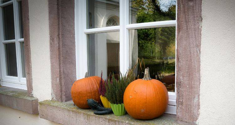 Clean windows showing fall foliage in Maryland