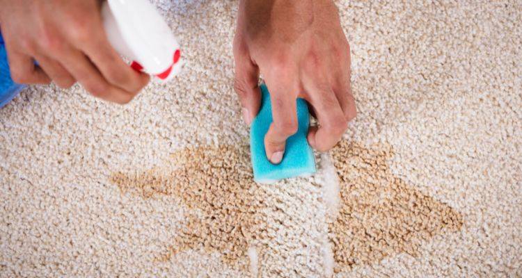 Mother cleaning toddler urine stain from carpet in living room
