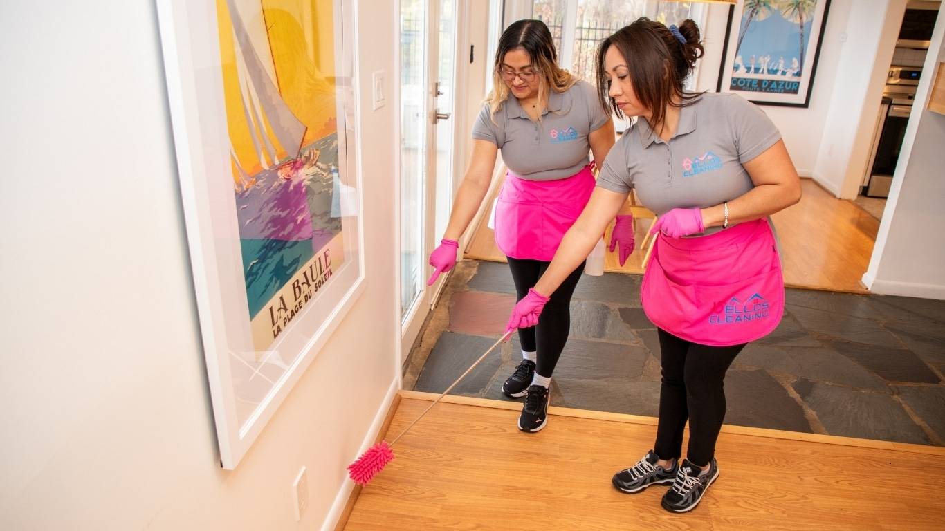 Cleaning team of trained, background-checked house cleaning technicians in Annapolis