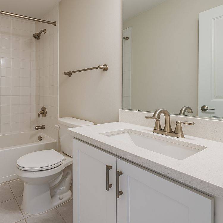 Maid Services in Davidsonville MD-Bathroom Sanitizing