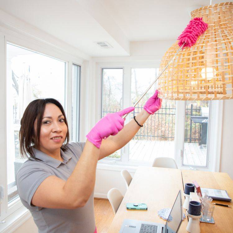 Dusting and Surface Cleaning