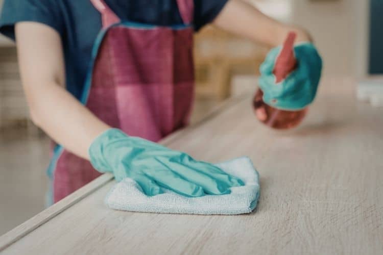 Routine kitchen cleaning during a maintenance cleaning visit in Annapolis