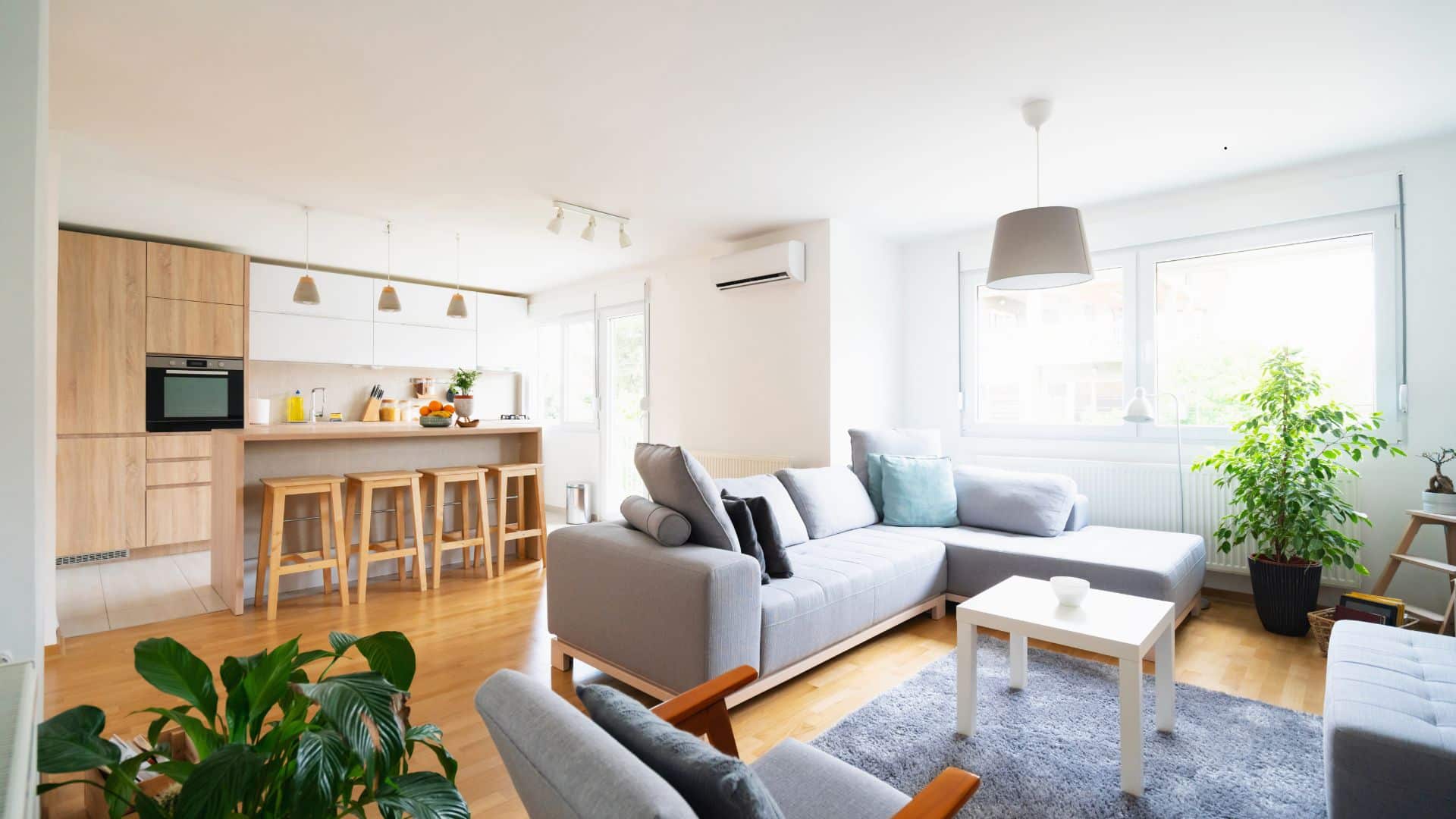 Clean house in Riva MD