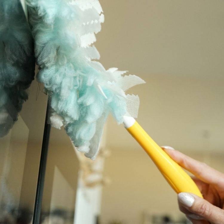 Dusting and Surface Cleaning