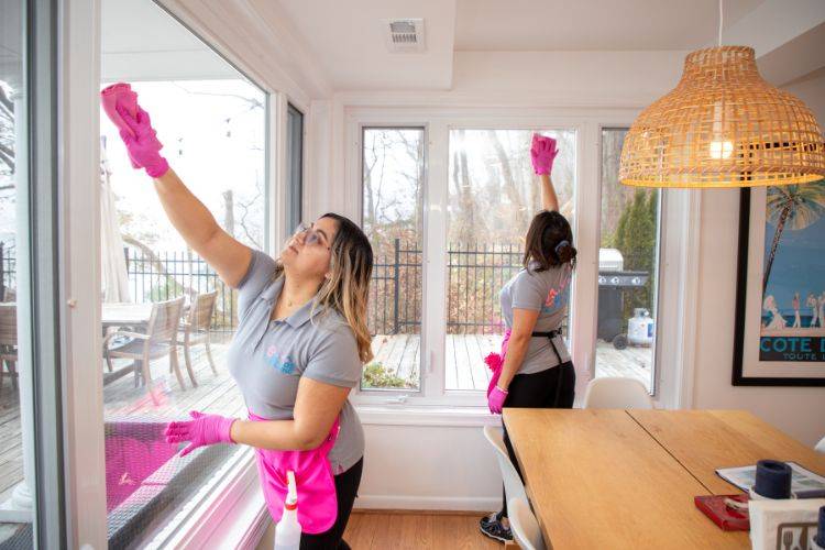 Professional cleaning team