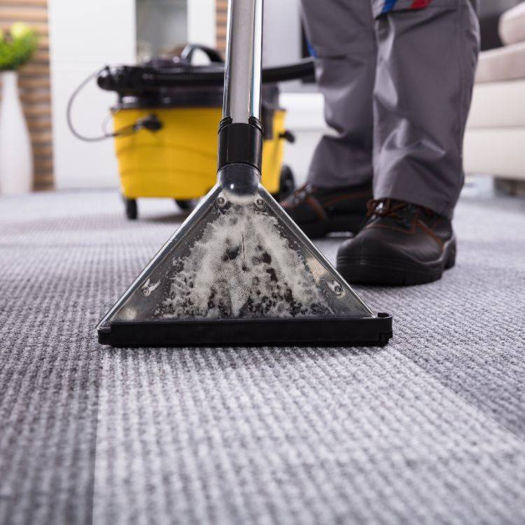 Floors and Vacuuming