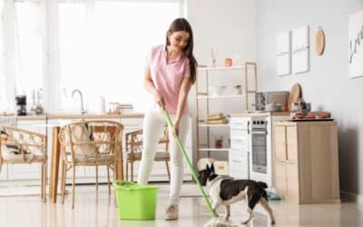 Why Does My House Still Smell Like My Pet Even Though I Clean Regularly? | Bethesda, MD