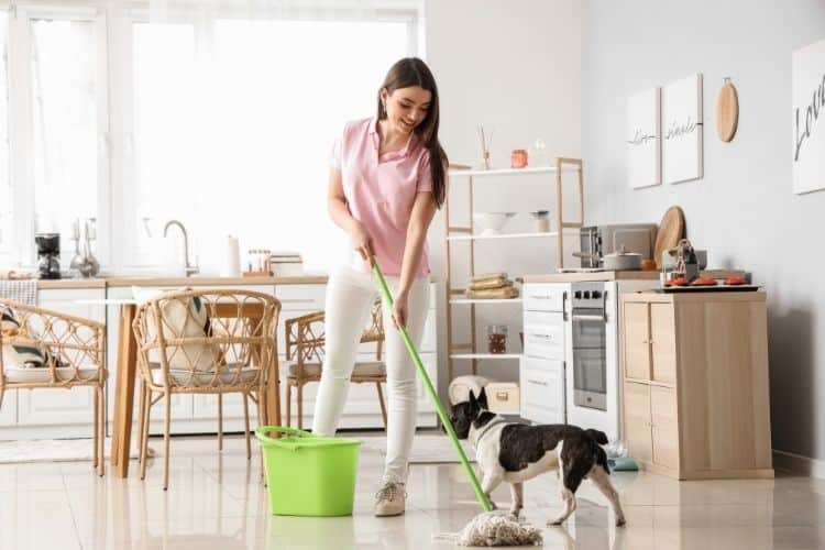 Pet odor cleaning in Bethesda MD for a home with pets
