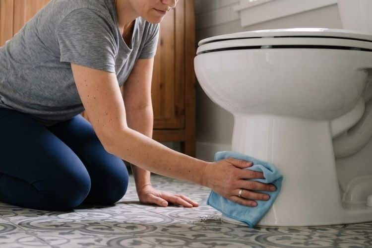 Bathroom cleaning tips during potty training in Annapolis MD