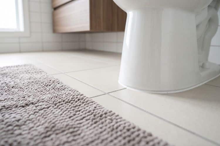 Potty training odors in a Annapolis MD family home
