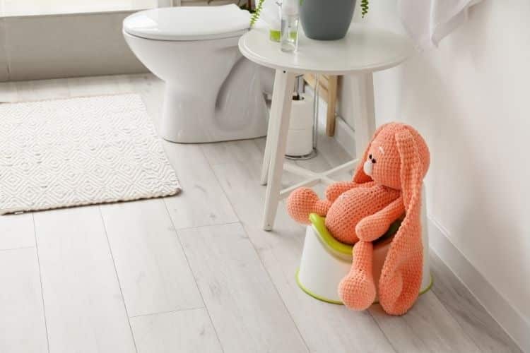 Safe house cleaning in Bethesda MD for families during potty training